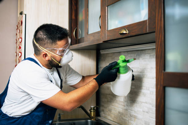 Best Pest Control Near Me  in South Kensington, MD
