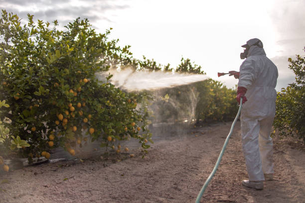 Best Pest Control Near Me in South Kensington, MD