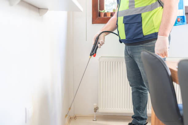 Best Termite Control Services  in South Kensington, MD