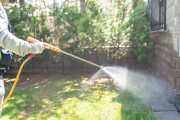 Best Pest Control Treatment  in South Kensington, MD