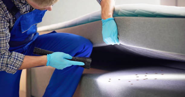  South Kensington, MD Pest Control Pros