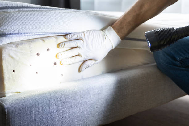Best Pest Prevention Services  in South Kensington, MD